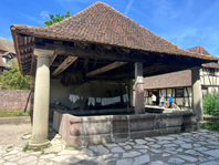 ecomusee